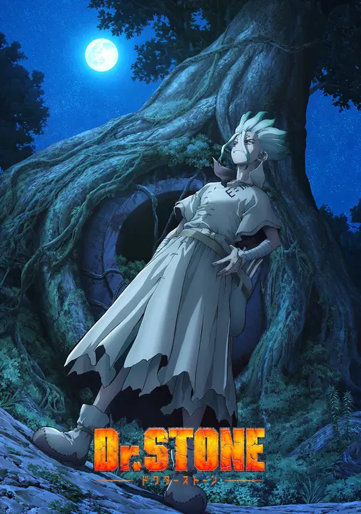 Доктор Стоун [ТВ-3, часть 1]